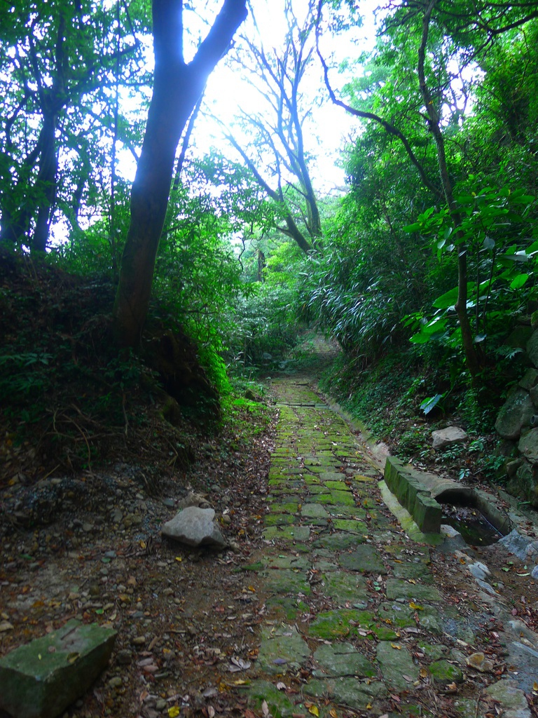 小闖百拉卡