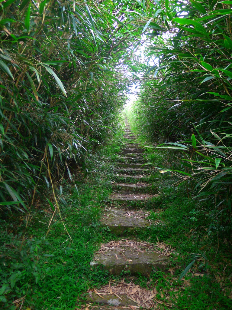 大屯主峰步道